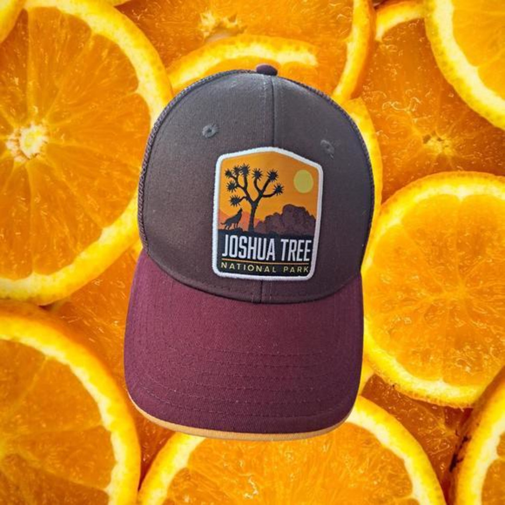 Joshua Tree National Forest Adjustable‎ Hat